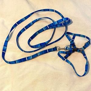 Blue Striped Harness & Leash